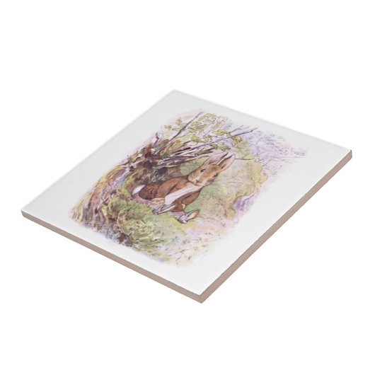 Benjamin Bunny (von Beatrix Potter) Fliese (Seite)