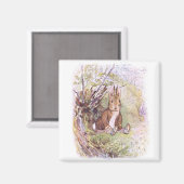 Benjamin Bunny (von Beatrix Potter) Magnet (Vorderseite/Rückseite)
