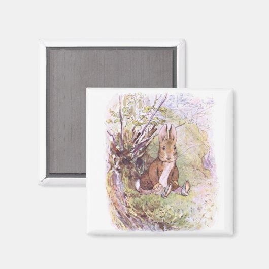 Benjamin Bunny (von Beatrix Potter) Magnet (Vorderseite/Rückseite)