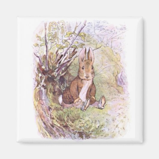 Benjamin Bunny (von Beatrix Potter) Magnet (Vorne)