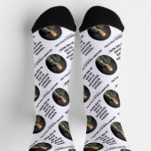 Benjamin Franklin Genius ohne Bildung Zitat Socken (Oben)