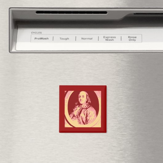 Benjamin Franklin Magnet (In Situ (Geschirrspüler))
