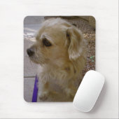 Benji Mousepad (Mit Mouse)