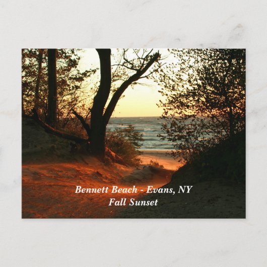 Bennett Beach - Evans, NY Postkarte (Vorderseite)