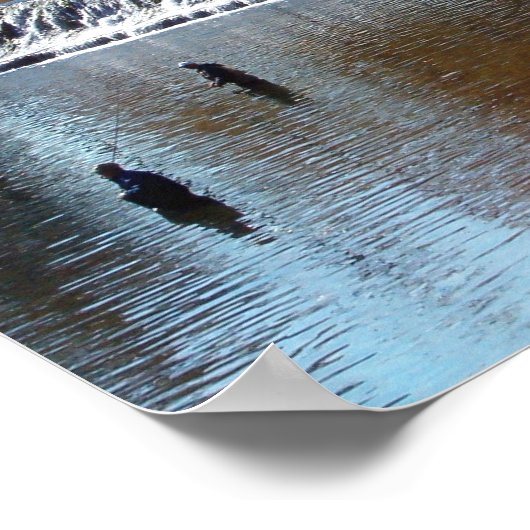 Bennett Springs Poster (Ecke)