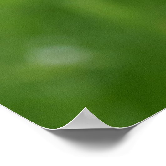 Bennett's Wallaby Poster (Ecke)