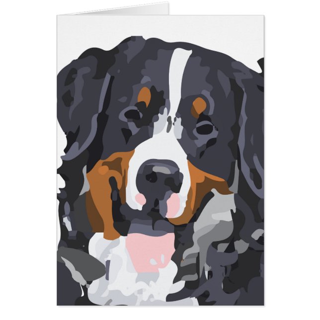 Benny das Berner (Vorne)