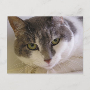 Benny Postkarte