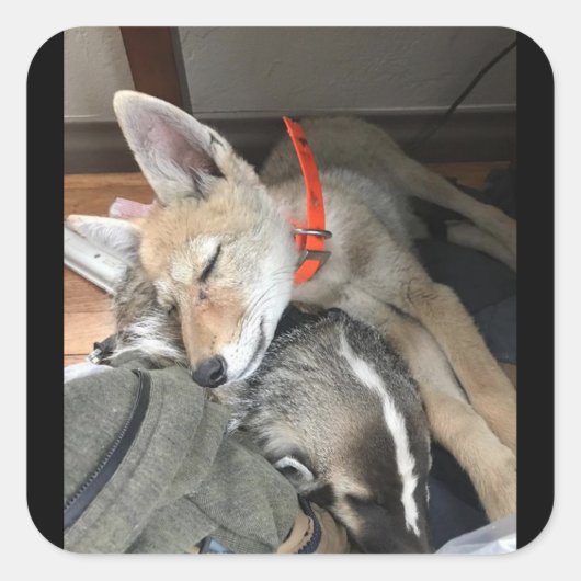 Benny und Doc Stickers (Vorderseite)