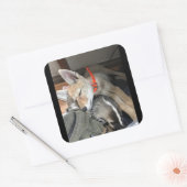 Benny und Doc Stickers (Umschlag)