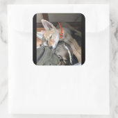 Benny und Doc Stickers (Tasche)