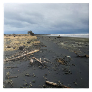 Benson Beach, Cape Disappointment, WA Fliese