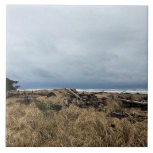 Benson Beach, Cape Enttäuschung, WA Fliese