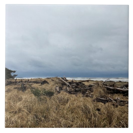 Benson Beach, Cape Enttäuschung, WA Fliese (Vorderseite)