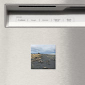 Benson Beach, Cape Enttäuschung, Washington Magnet (In Situ (Geschirrspüler))