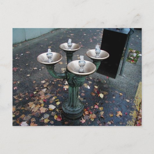 Benson Bubbler Portland Oregon Postkarten (Vorderseite)