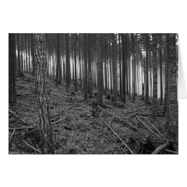 Benson Meadows (Vorderseite (Horizontal))