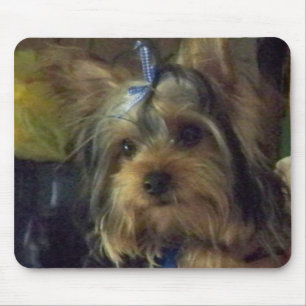 BENSON MOUSEPAD