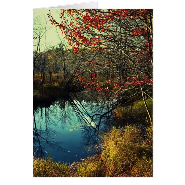 Bent Trees (Vorne)