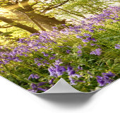Bentbaum im Bluebellwald Poster (Ecke)