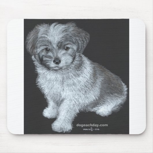 bentley_300, dogeachday.com mousepad (Vorne)