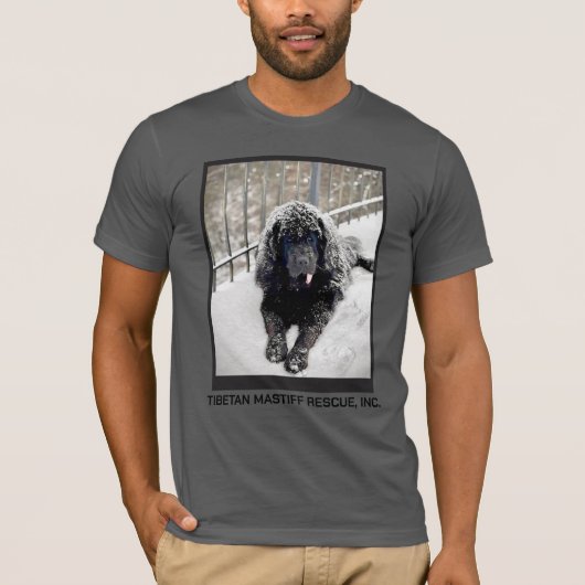Bentley Graues T-Shirt (Vorderseite)