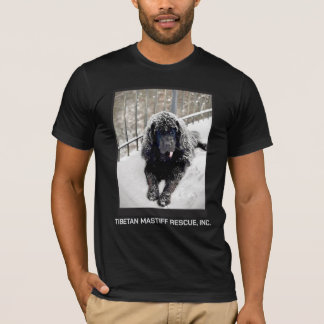 Bentley T-Shirt Schwarz