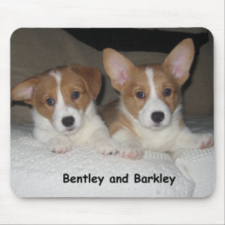 Bentley u. Barkley Mousepad