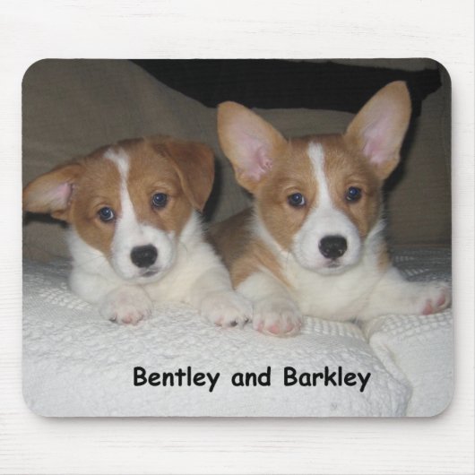 Bentley u. Barkley Mousepad (Vorne)