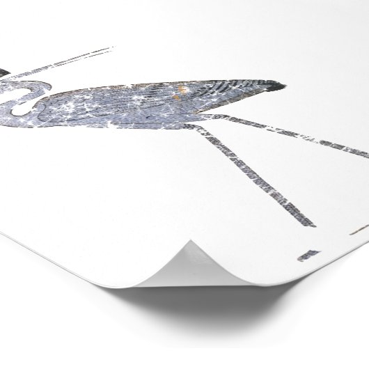 Benu Bird Poster (Ecke)