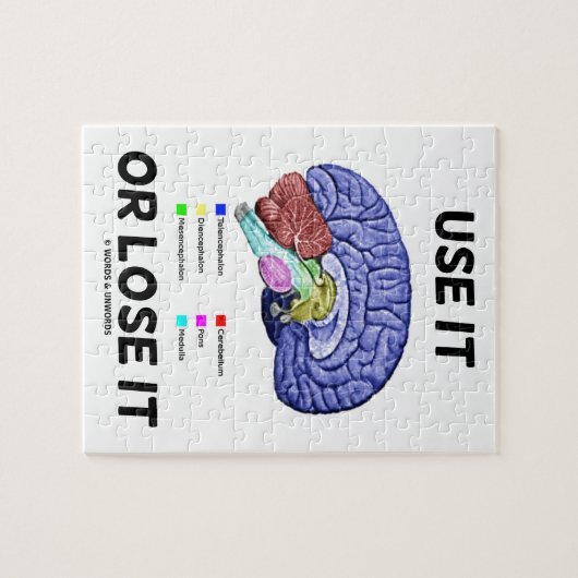 Benutzen oder verlieren Sie es (Anatomische Gehirn Puzzle (Horizontal)