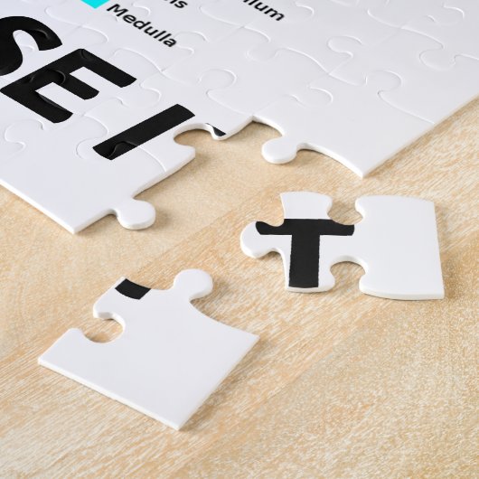 Benutzen oder verlieren Sie es (Anatomische Gehirn Puzzle (Seite)