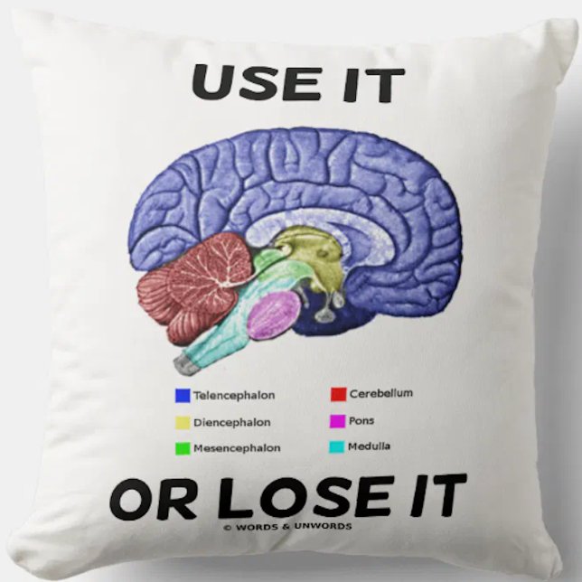 Benutzen oder verlieren Sie es anatomische Gehirnb Kissen (Do a double-take with a dose of brainy attitude with this "Use It Or Lose It" throw pillow today!)