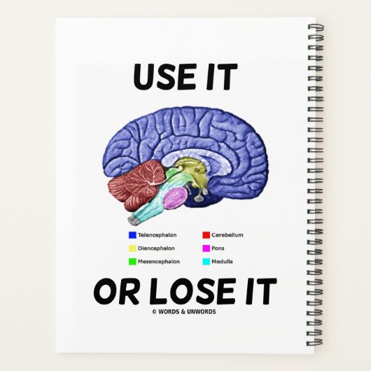 Benutzen oder verlieren Sie es anatomische Gehirnb Planer (Rückseite)