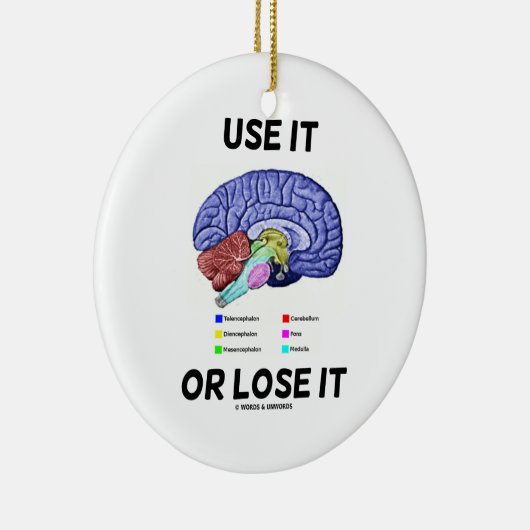 Benutzen oder verlieren Sie es (Gehirnanatomie-Spa Keramik Ornament (Rechts)