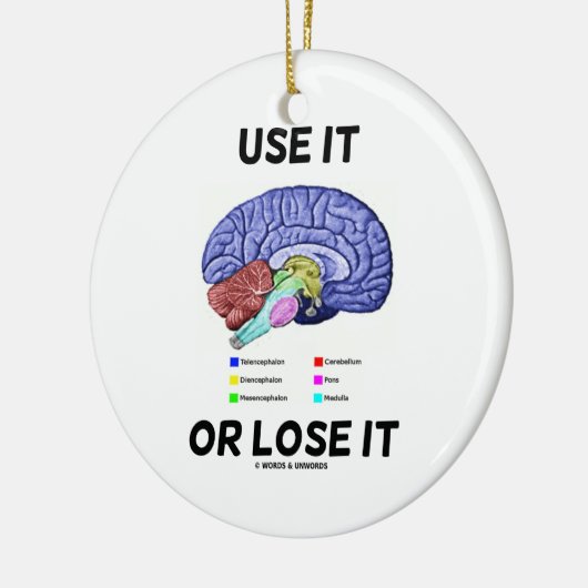 Benutzen oder verlieren Sie es (Gehirnanatomie-Spa Keramik Ornament (Links)