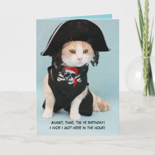 Benutzerdefinierbare Funny Pirate Cat Karte (Vorderseite)