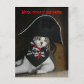 Benutzerdefinierbare Funny Pirate Cat Postkarte (Vorderseite)
