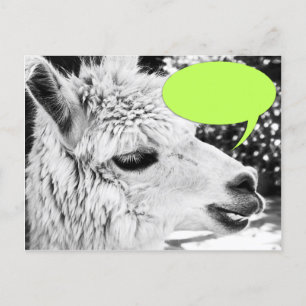 Benutzerdefinierbare Lama-Sprechblase Postcard Postkarte