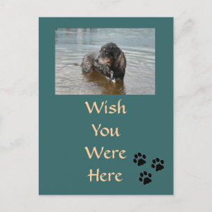 Benutzerdefinierbare Postkarte