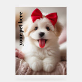 Benutzerdefiniert Acrylschild (Vorderseite)