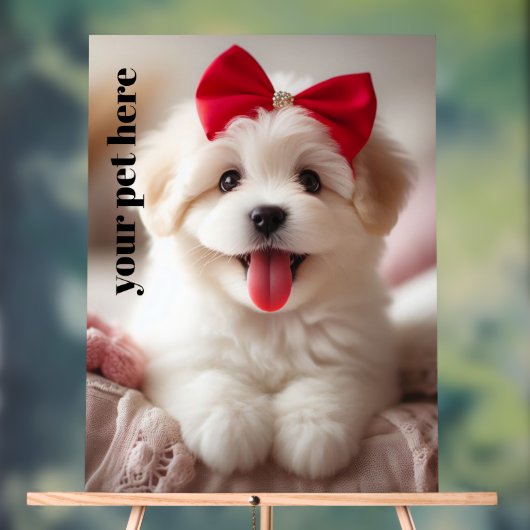 Benutzerdefiniert Acrylschild (Neutral)