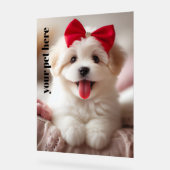 Benutzerdefiniert Acrylschild (Winkel)