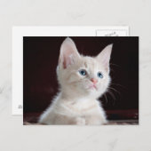 Benutzerdefiniert für Ihr Foto Postkarte (Vorne/Hinten)