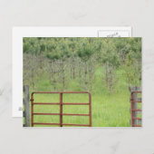 Benutzerdefiniert in die Pines Postkarte (Vorne/Hinten)