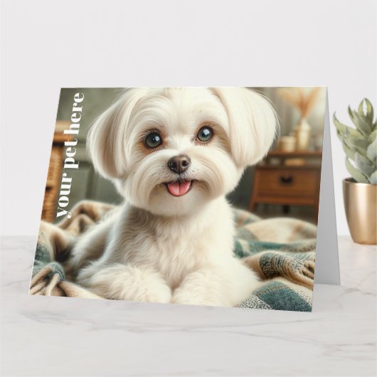 Benutzerdefiniert Karte (Kleine Pflanze)