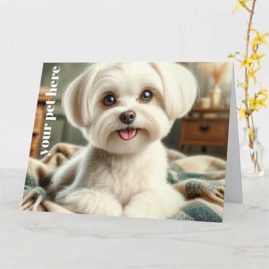 Benutzerdefiniert Karte (Gelbe Blume)