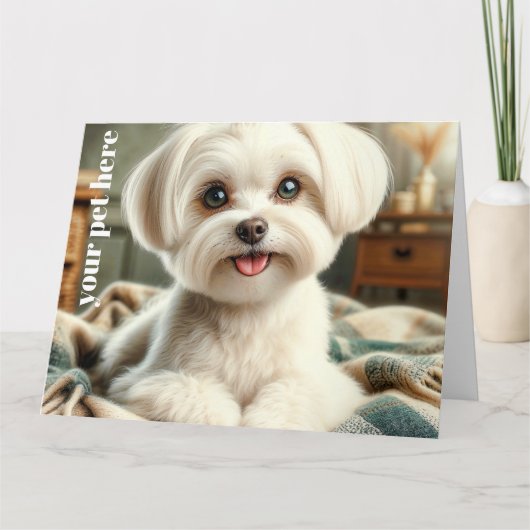 Benutzerdefiniert Karte (Vorderseite)