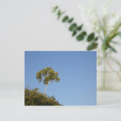 Benutzerdefiniert von Crowd Tree Postkarten abweic (Stehend Vorderseite)