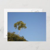 Benutzerdefiniert von Crowd Tree Postkarten abweic (Vorne/Hinten)